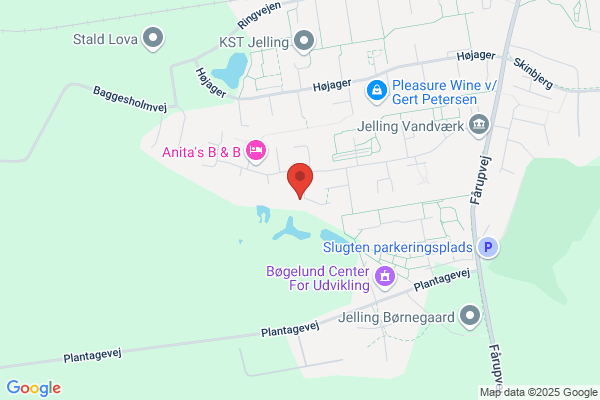 Damgaard Biler ApS, Lars