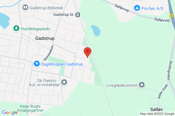 Stendyssen, Grundejerforeningen