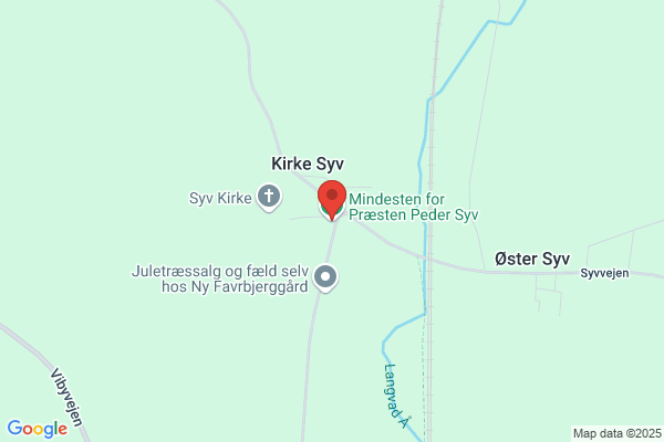 Peder Syv Skolens Venner, Støtteforeningen