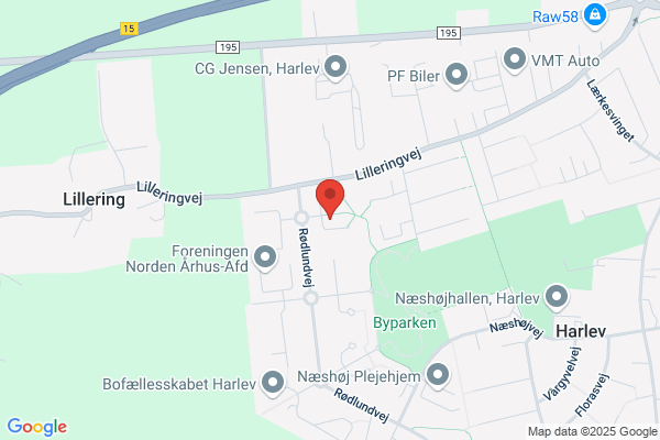 Krongaard, Malerfirma