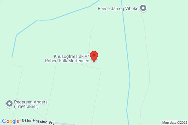 Mortensen, Peter