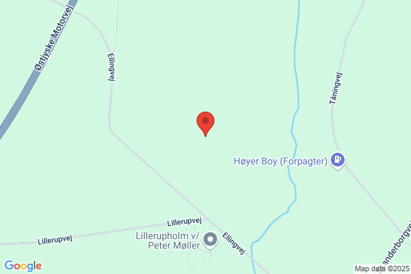 Lenau, Inger