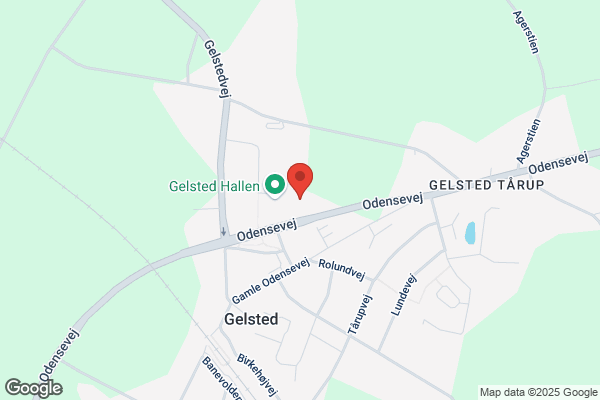 Gelsted Gymnastik- og Idrætsforening