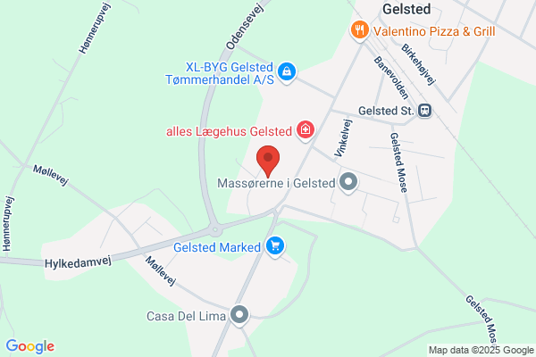H. F. Biler Gelsted I/S