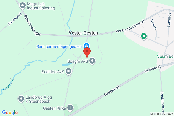 Gesten Maskinsnedkeri