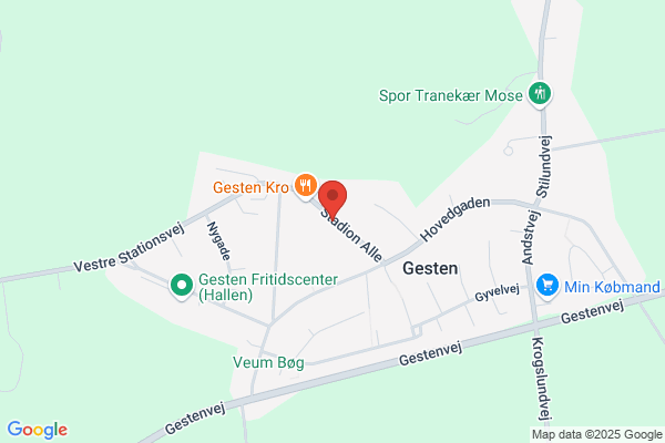 Socialdemokratiet i Gesten