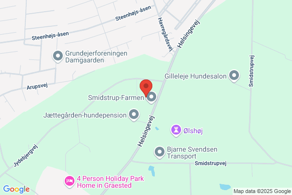 Vandmanden