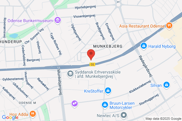 Odense og Omegns Racedueforening