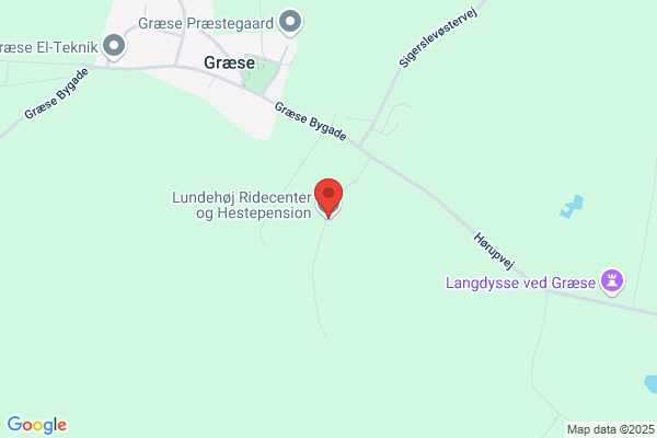 Lammefjordens Ridecenter og Hestepension