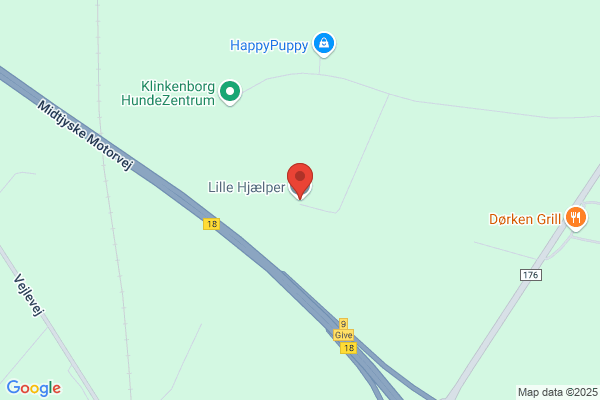 Gule Palæ, Det