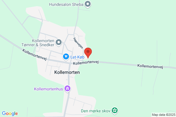Vejle og Omegns Mekanikerforening