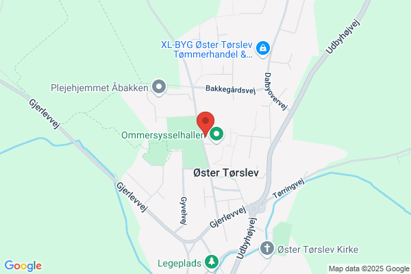 Beskæftigelsesprojektet