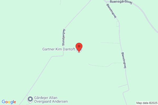 Dantoft, Kim
