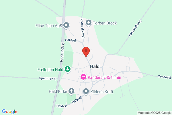 Falch, Hans