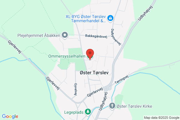 Ommersyssel Hallen