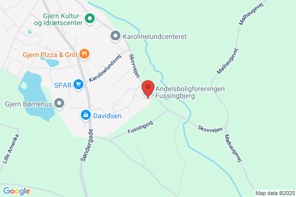 Socialistisk Folkeparti i Gjern