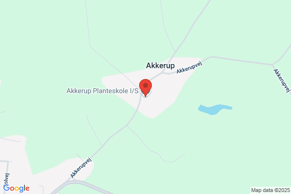 Hundestjernen Akkerup