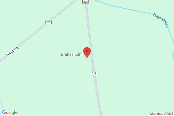 Brahesholmskolen
