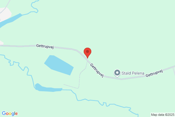 Svendsen, Einer V.