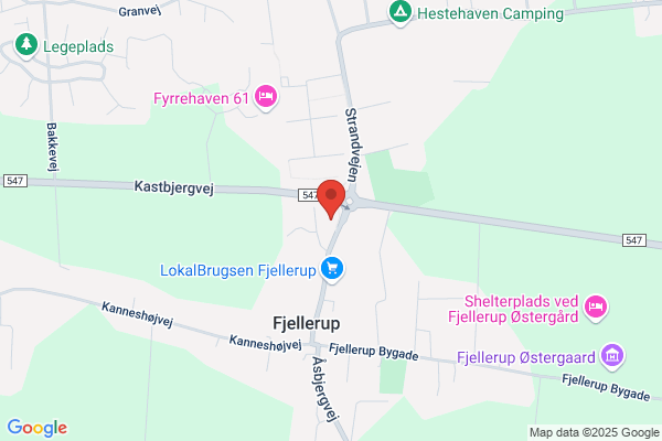 dansommer Fjellerup