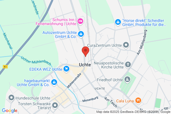 Ole's Taxi
