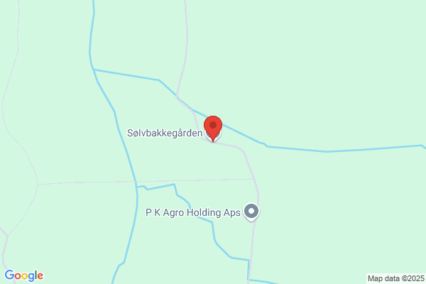 Sølvbakkegård