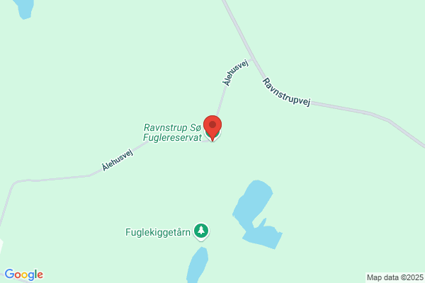 Oldefritten