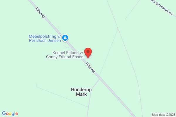 DogCity - Bramming Hundecenter