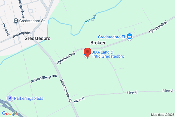 Dlg Jernvedlund