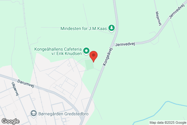 Hvepsereden Skolefritidsordning - Kongeådal Skole