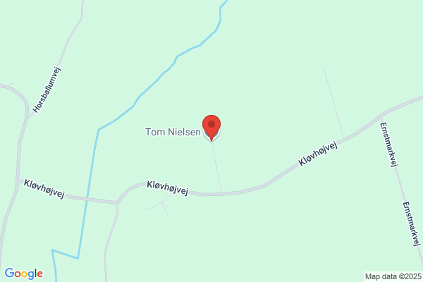 Nielsen, Tora
