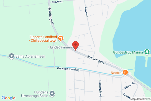 Hundetrimmeren