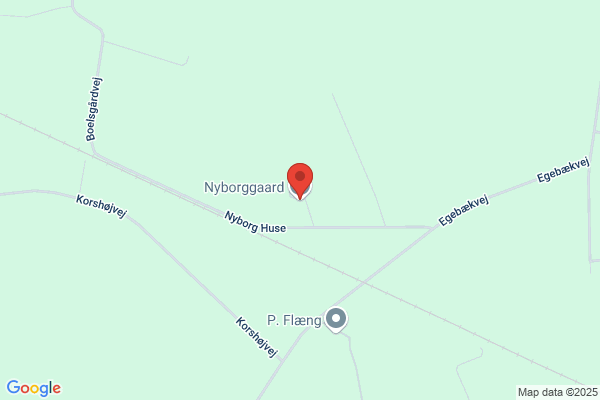 Nyborg A/S, Tage