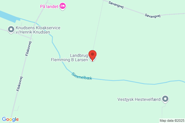 Larsen, Børge ApS
