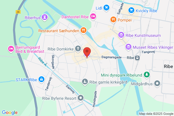 Centrum-Demokraterne i Ribe Amt