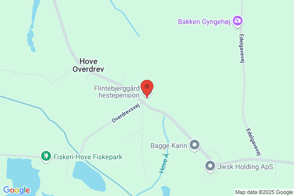 Pibemosegård Hestepension