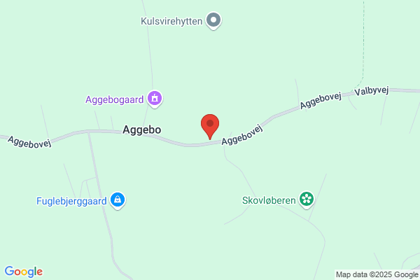 Aggebo Malerfirma