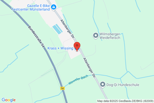 Wissing.Int