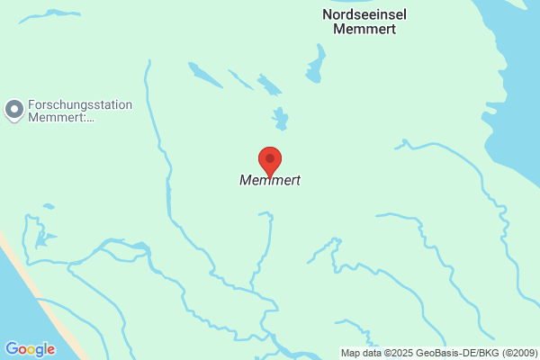 MesterRen