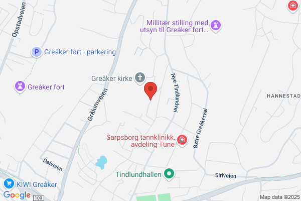 Madsen, Erling