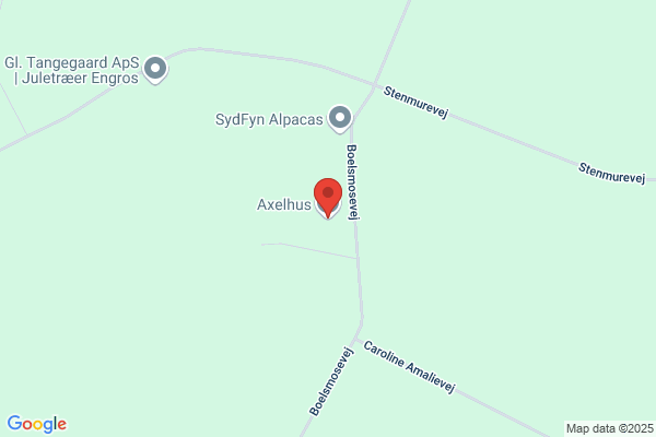 Axelhus