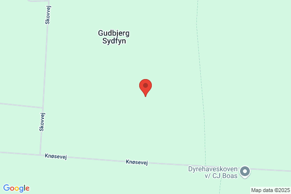 Gudbjerg Skovdistrikt