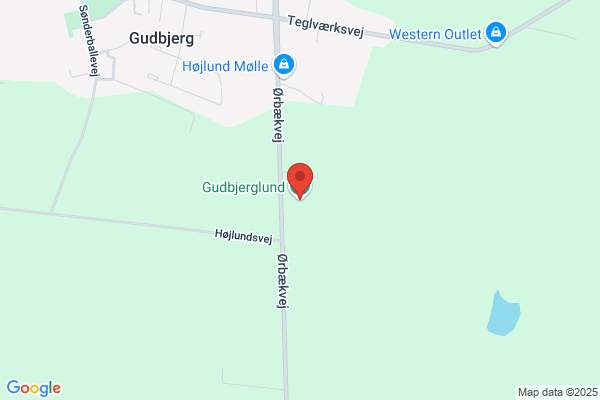 Gudme Arkæologigruppe