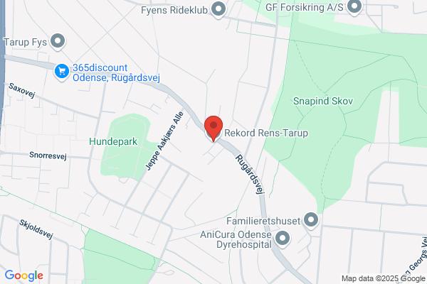 Vask og Strygning