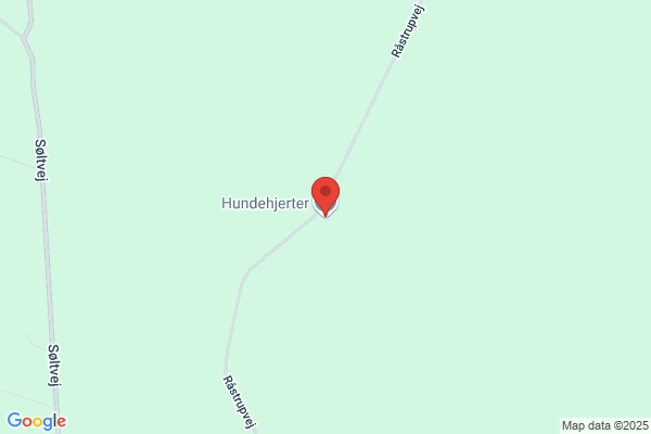 Hundestjernen Langå