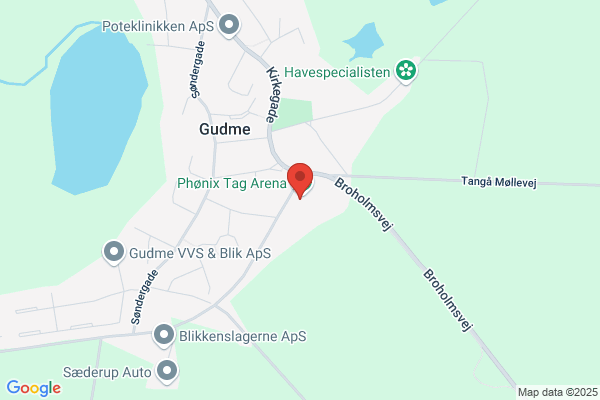 Hårpleje i Hjemmet