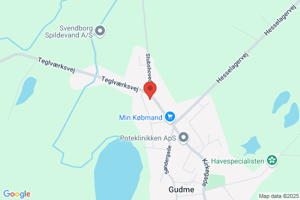 Højgårdens Auto