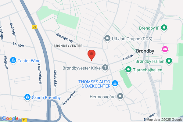 Grundejerforeningen Skovvænget