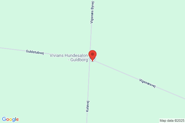 Vivians Hundesalon - Guldborg