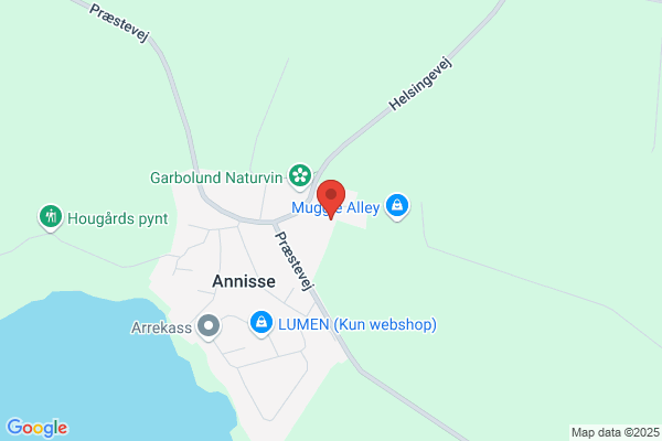 Annisse Ældreklub